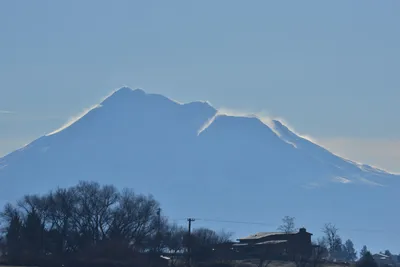 DSC_6028 (Large).JPG